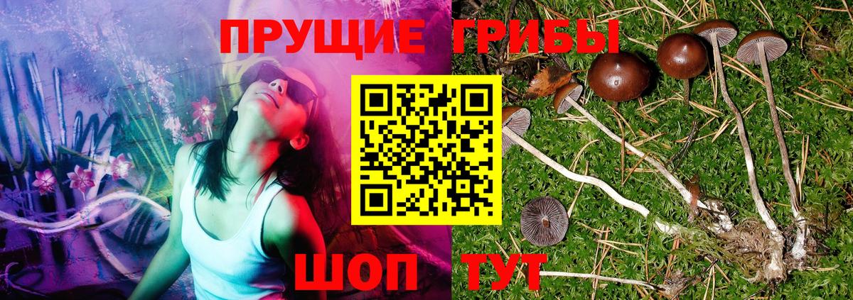 Псилоцибиновые грибы прущие грибы  Вход с VPN  Галлюциногенные грибы Psilocybine cubensis  Новосибирск 